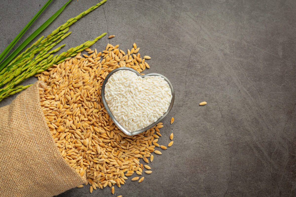 Rice exports