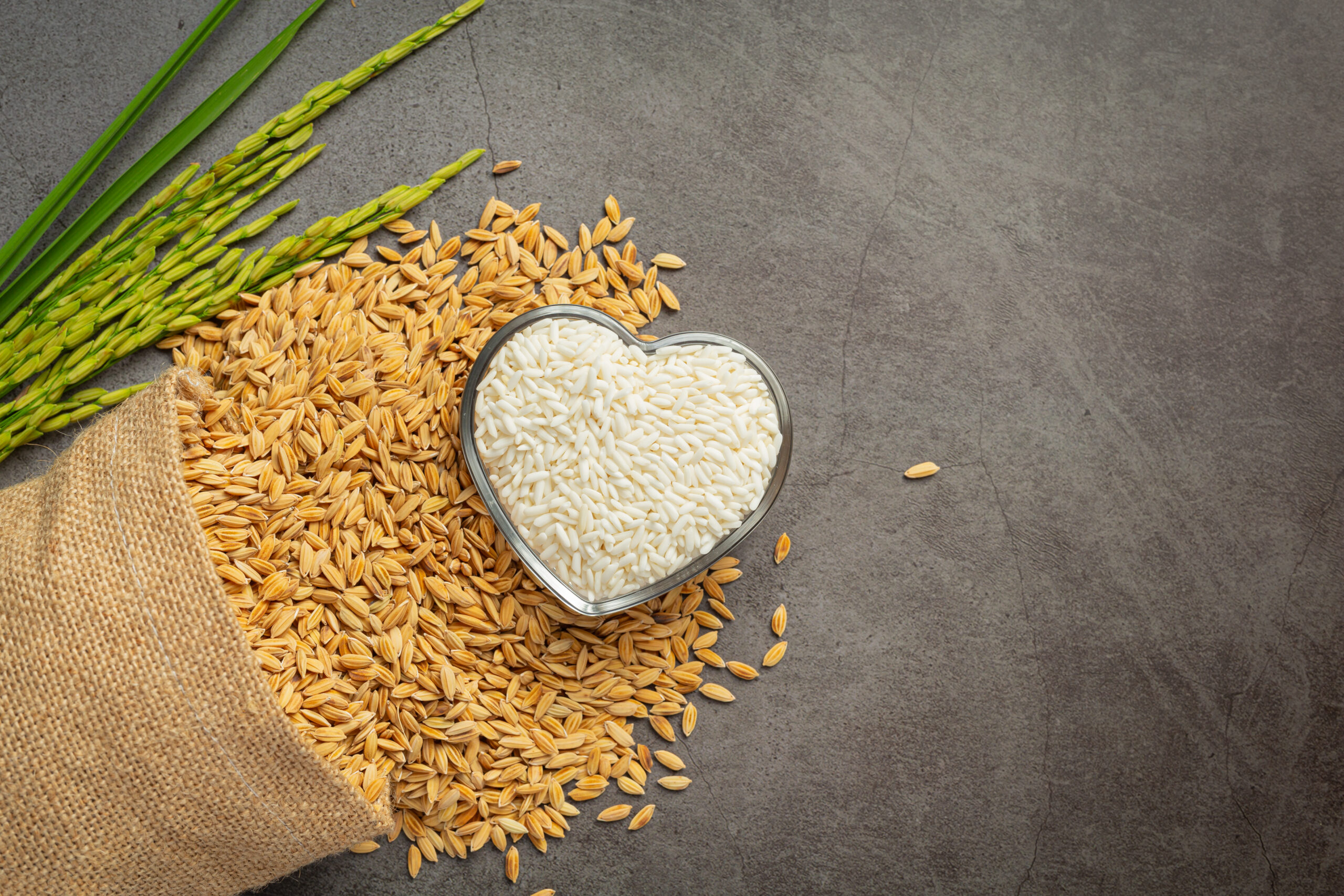 Rice exports