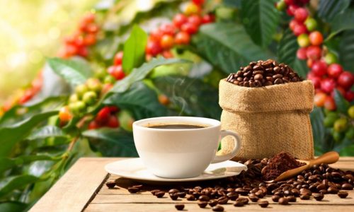 Coffee Sub menu Item Image Coffee Sub menu Item Image